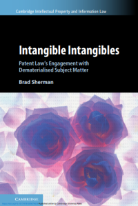 Image of Intangible Intangibles (E-Book)