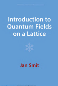 Image of Introduction to Quantum Fields on a Lattice (E-Book)