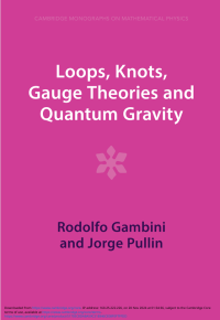 Image of LOOPS, KNOTS, GAUGE THEORIES AND QUANTUM GRAVITY (E-BOOK)