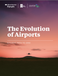 Image of The Evolution of Airports (E-Book)